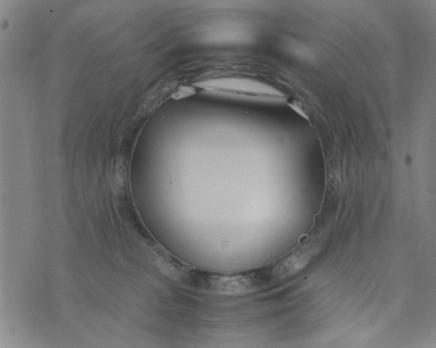 X0000074330277200609152104