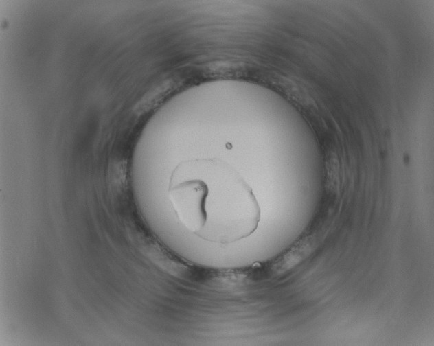 X0000074330278200609152104