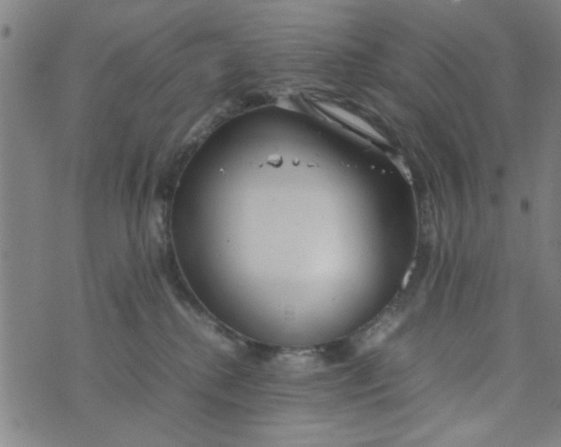 X0000074330280200609152104