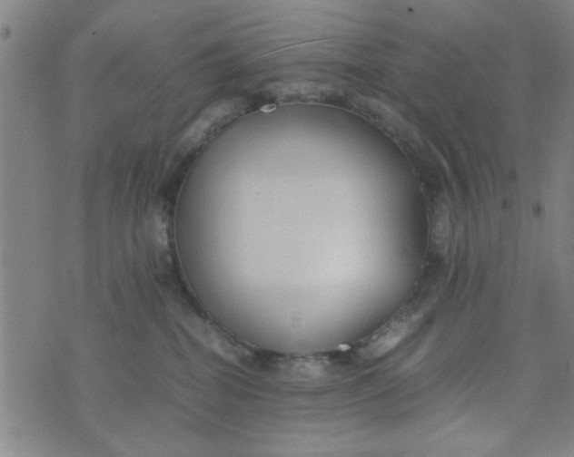 X0000074330282200609152104