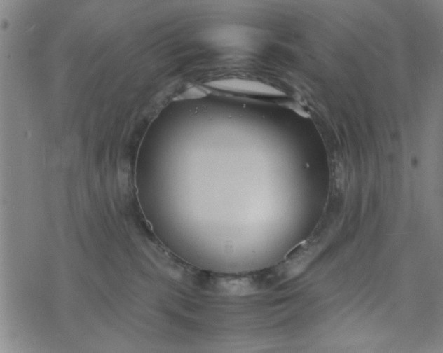 X0000074330283200609152104