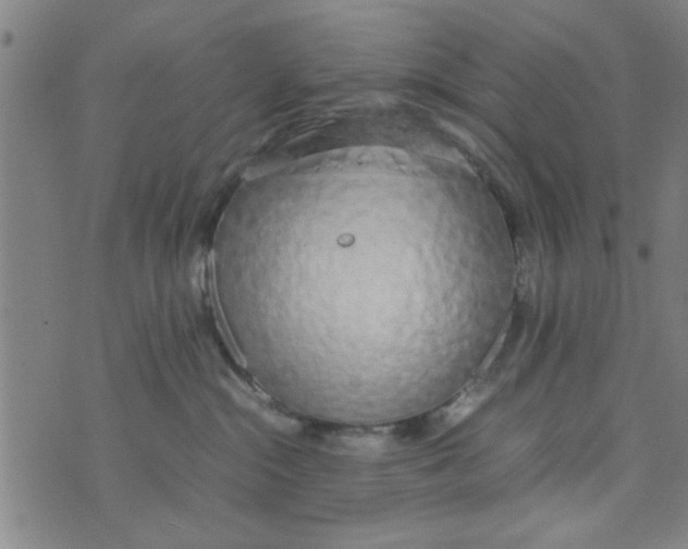 X0000074330284200609152104