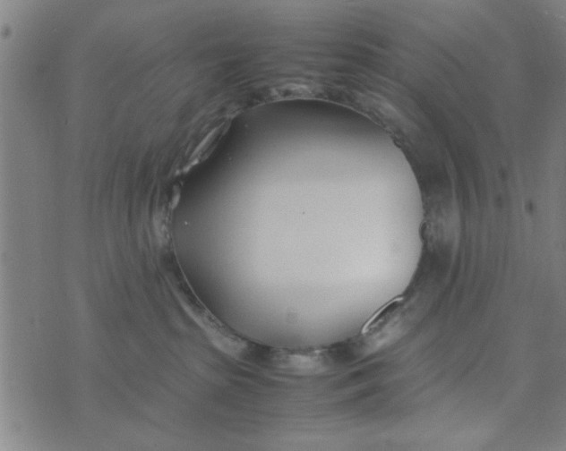 X0000074330285200609152104