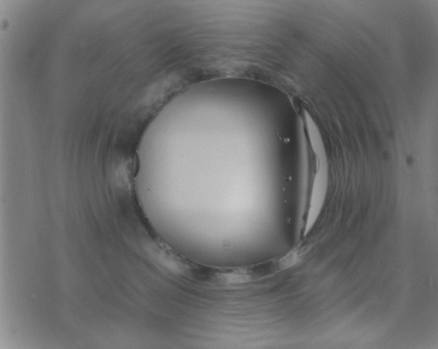 X0000074330286200609152105