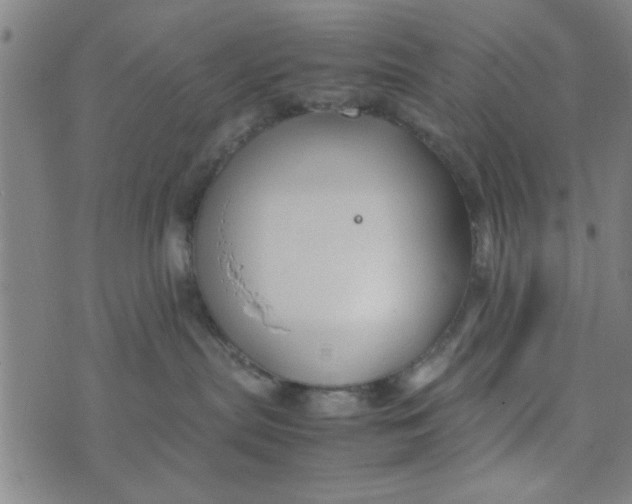 X0000074330287200609152105