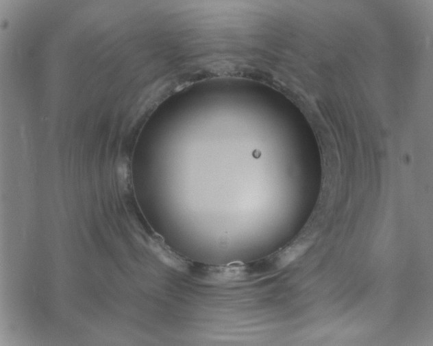 X0000074330288200609152105