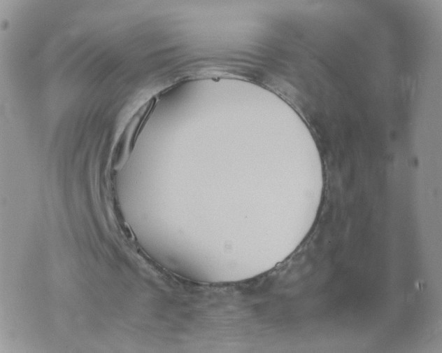 X0000074330289200609152104