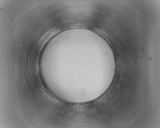 X0000074330290200609152104