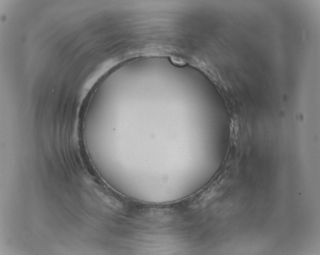 X0000074330292200609152104