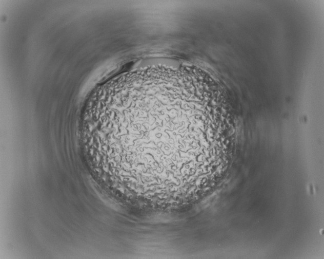 X0000074330293200609152104