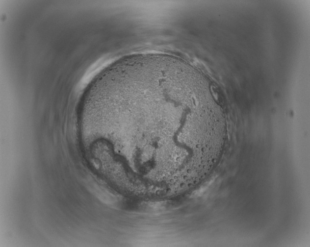 X0000074330295200609152104