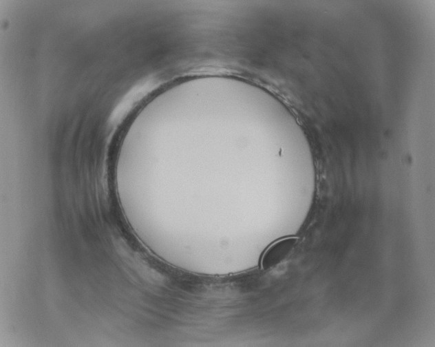 X0000074330296200609152104