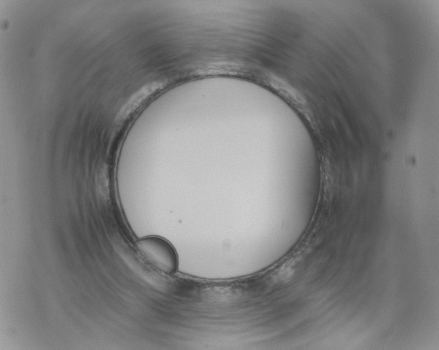 X0000074330298200609152104