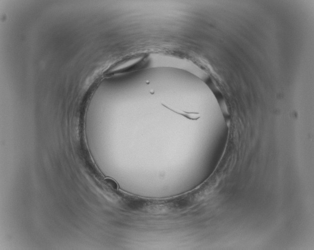 X0000074330299200609152104