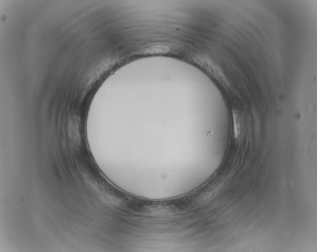 X0000074330300200609152103