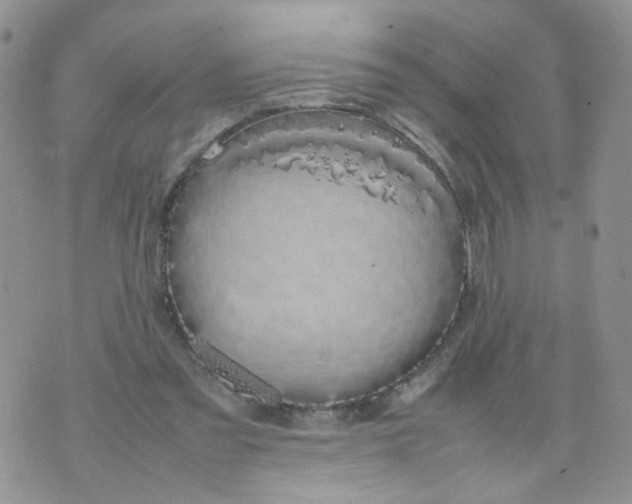 X0000074330301200609152103