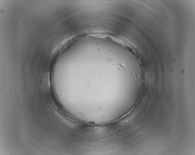 X0000074330302200609152103