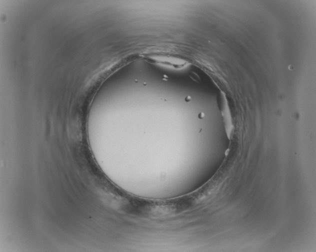 X0000074330303200609152103