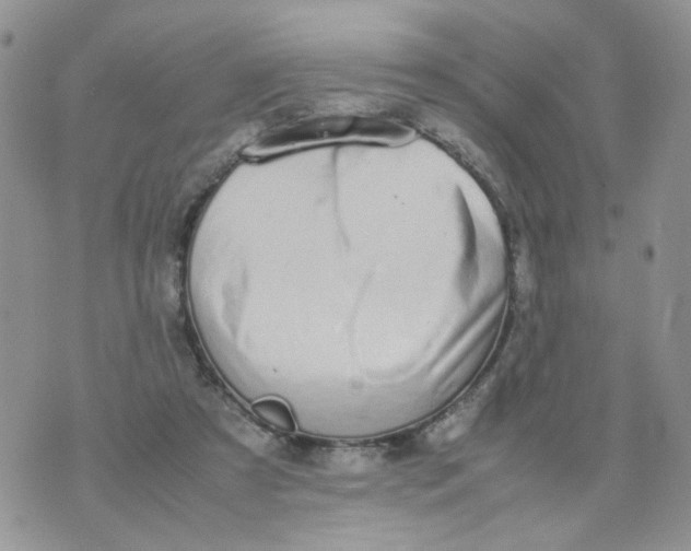 X0000074330305200609152103