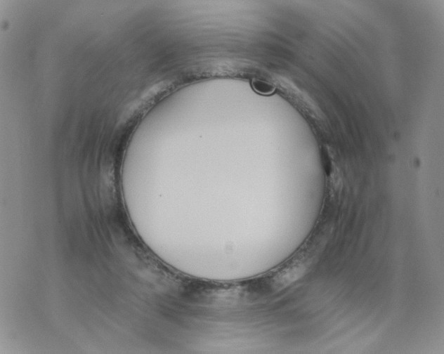 X0000074330306200609152103