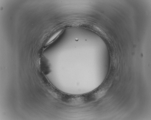 X0000074330307200609152103