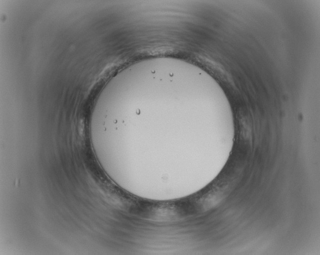 X0000074330308200609152103