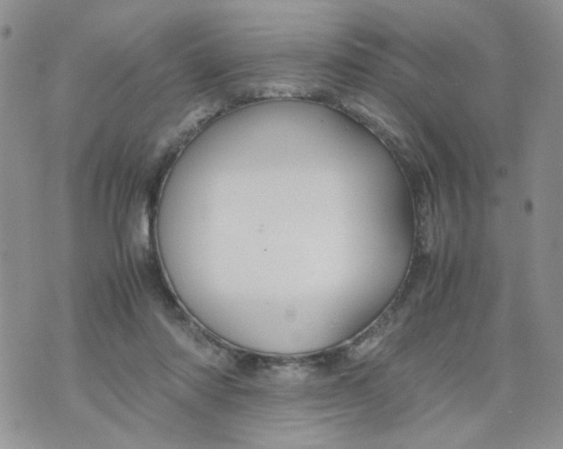 X0000074330310200609152103