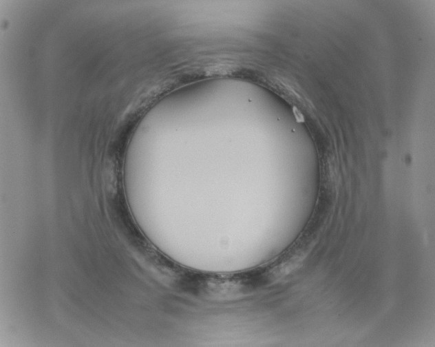 X0000074330311200609152103