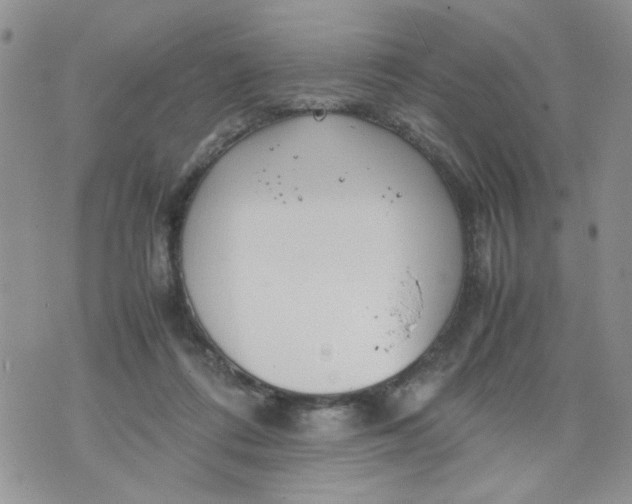 X0000074330312200609152103