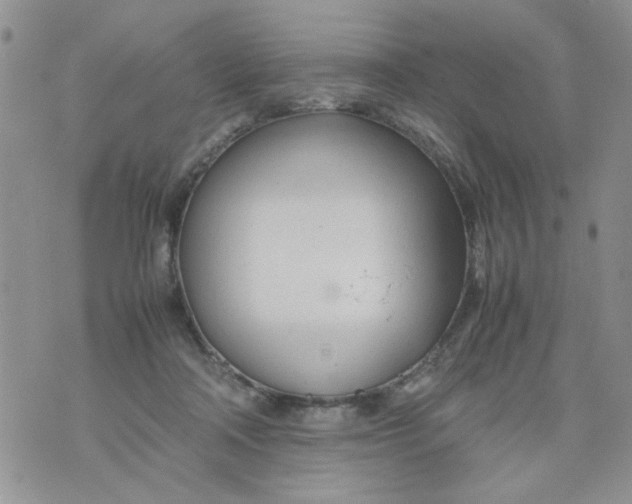 X0000074330314200609152103