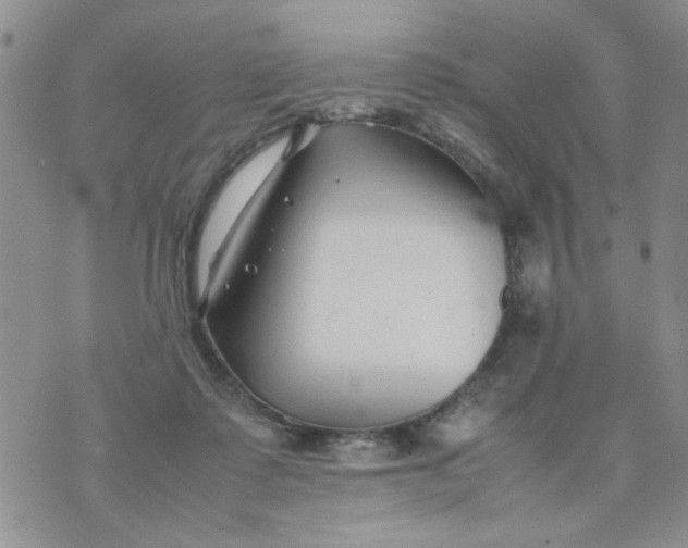 X0000074330315200609152103