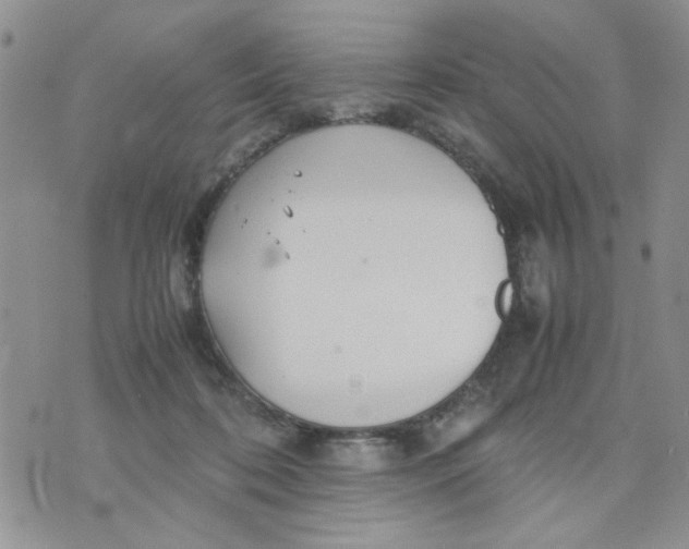 X0000074330316200609152103