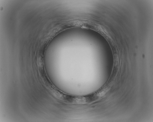 X0000074330317200609152103