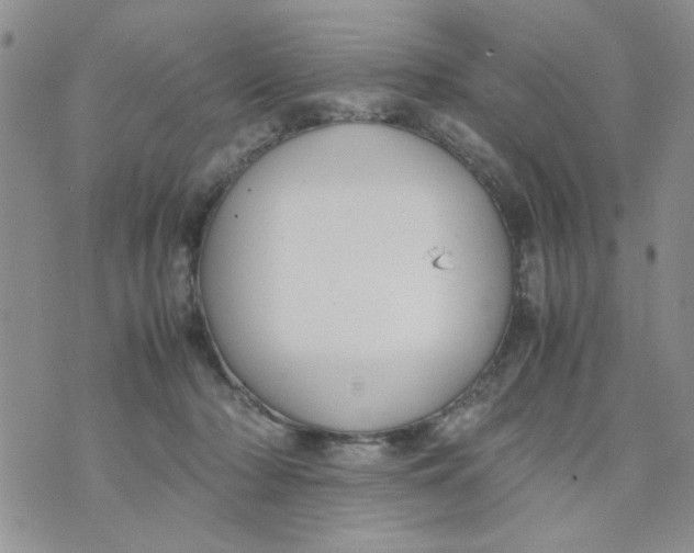 X0000074330318200609152103