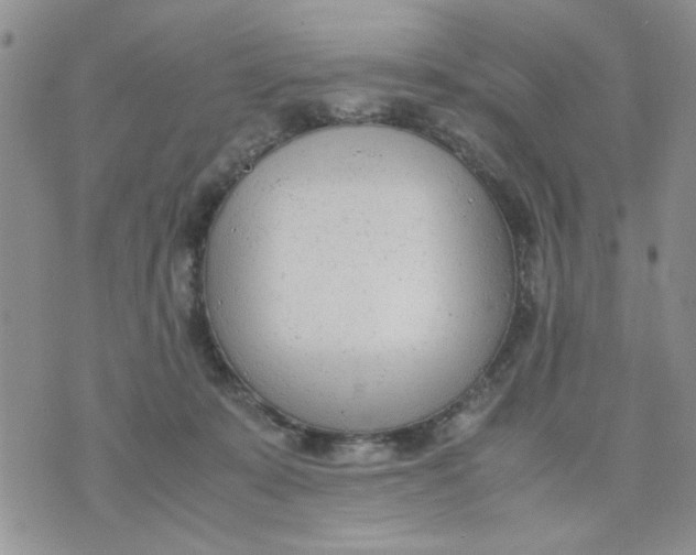 X0000074330319200609152103