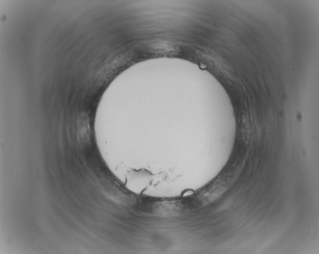 X0000074330320200609152103