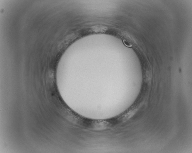 X0000074330321200609152103