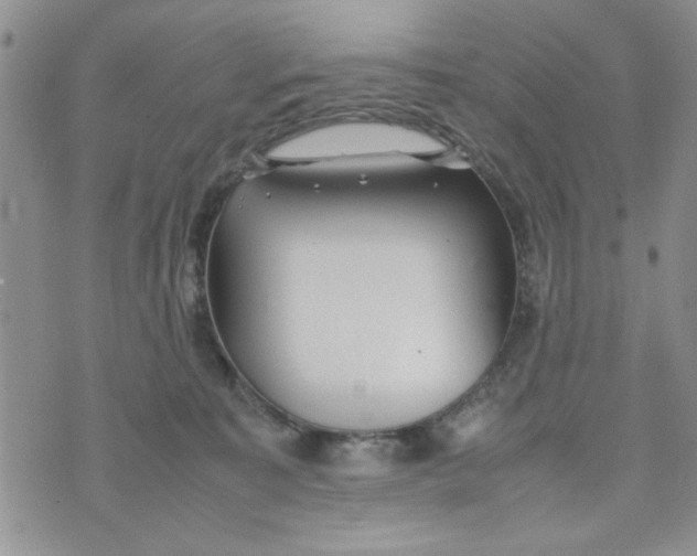 X0000074330323200609152103