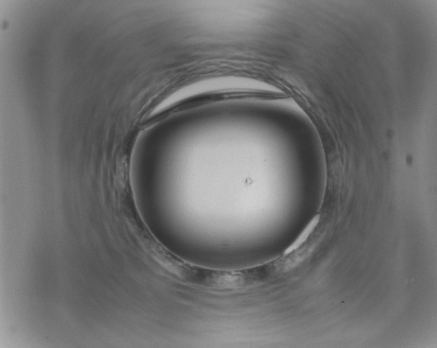 X0000074330325200609152103