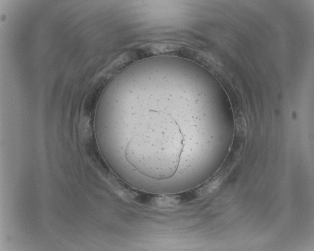 X0000074330327200609152103