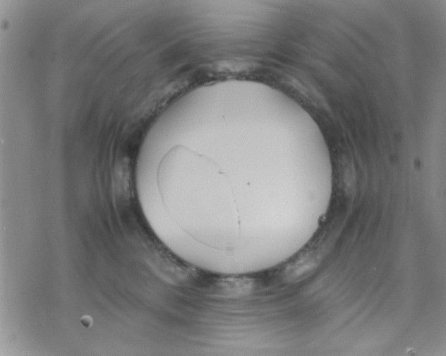 X0000074330328200609152103