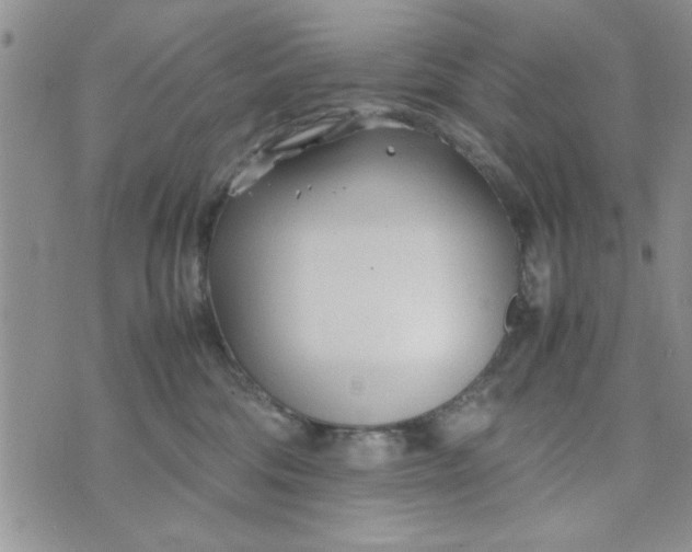 X0000074330330200609152103