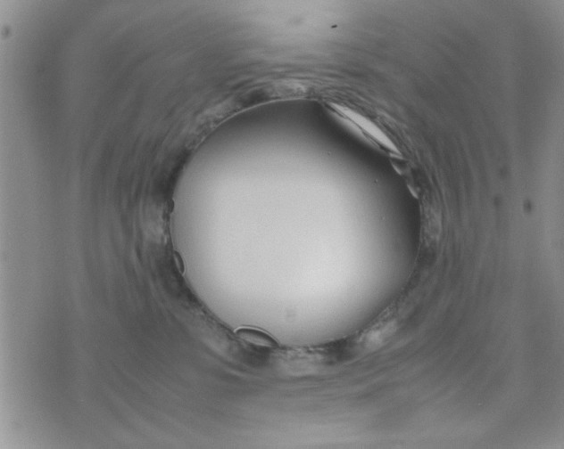 X0000074330331200609152103