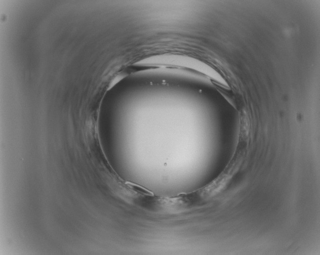 X0000074330333200609152103