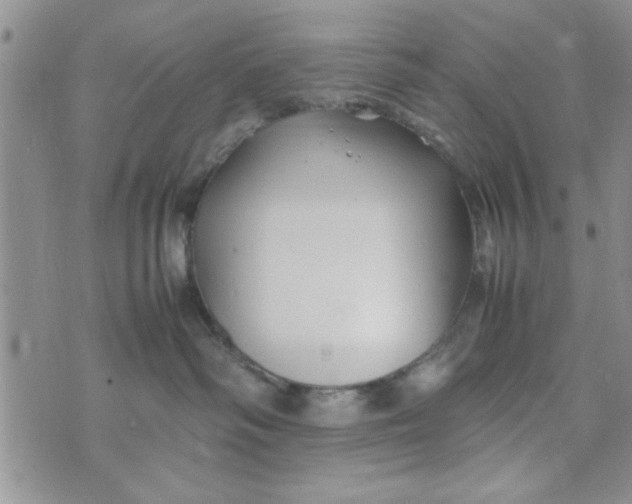 X0000074330334200609152103