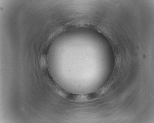 X0000074330335200609152103