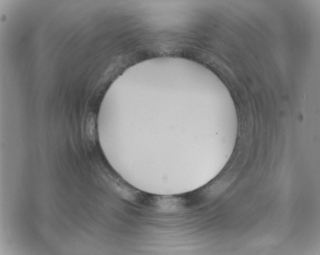 X0000074330336200609152103