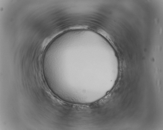 X0000074330337200609152102