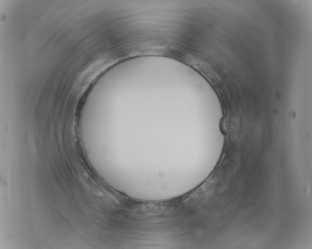 X0000074330338200609152102