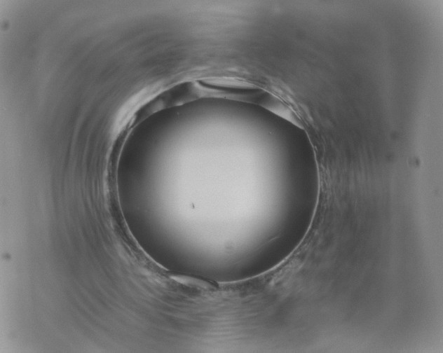 X0000074330340200609152102